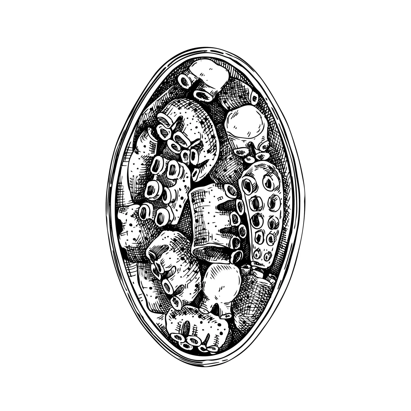 Cooked octopus in opened tin can illustration. Tinned seafood vector drawing. Hand drawn canned squid sketch isolated on vintage background. Shellfish or menu, recipes, logos, flyer, invitation. Illustration